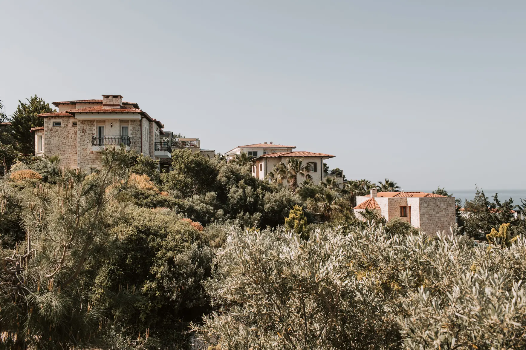 Aldermont Hill: houses set among olive terraces above the bay